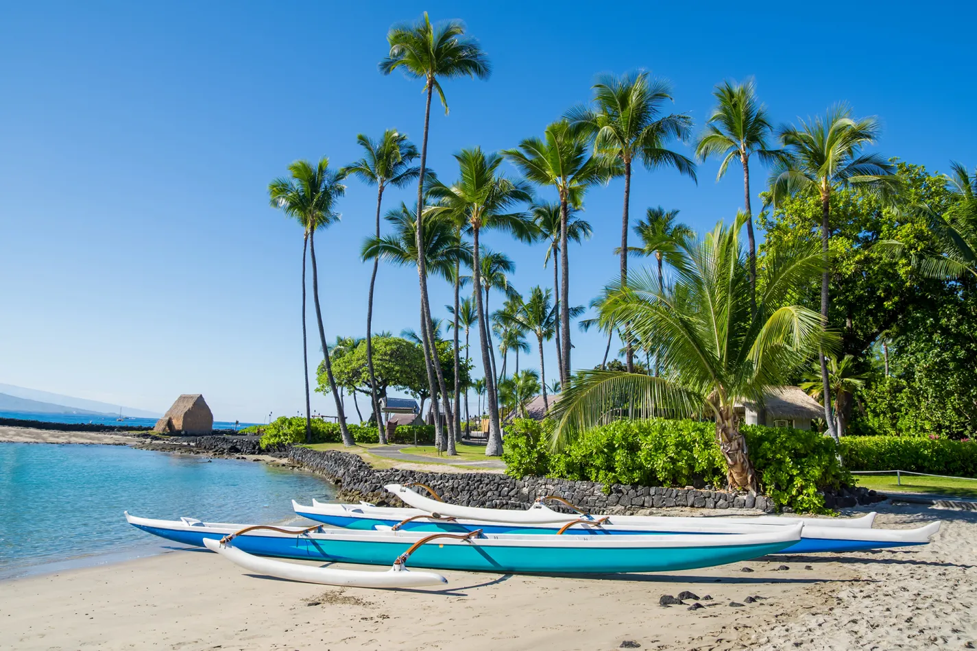 Outrigger canoes resting on a sandy beach in Kona, surrounded by tall palm trees and calm blue water.