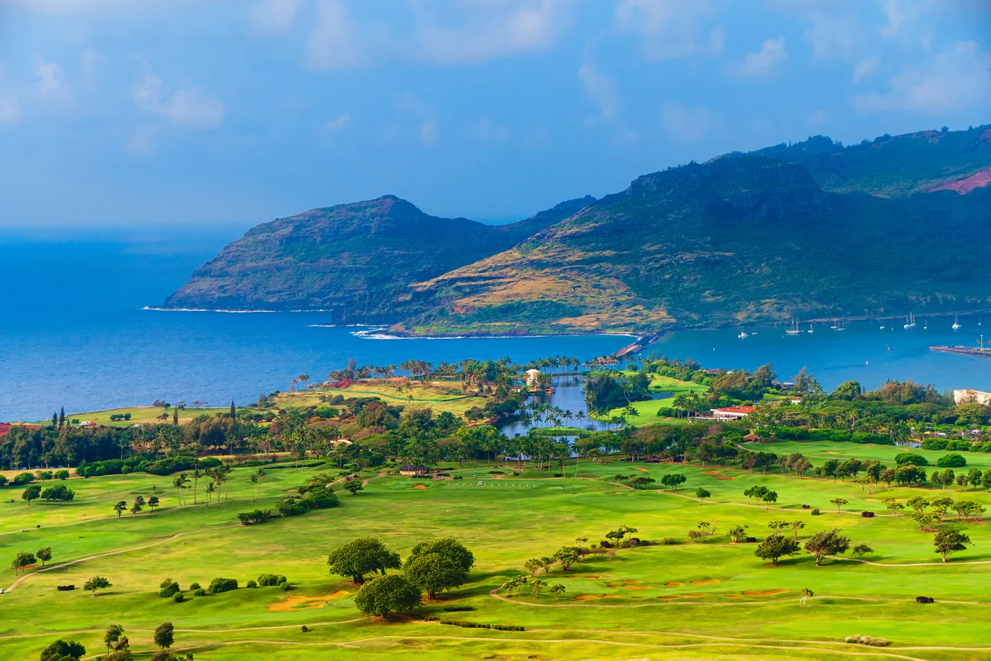 Lush green landscape with ocean and rocky mountains in the background