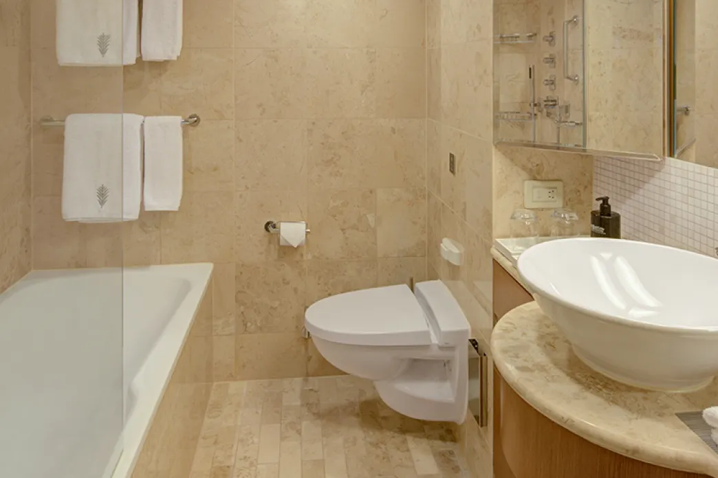 Celebrity Cruises Eclipse - Sky Suite bathroom